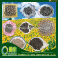 Buy Types Of Sunflower Seeds Various Sunflower Seeds